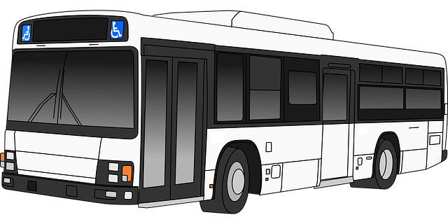 Sigiriya bus